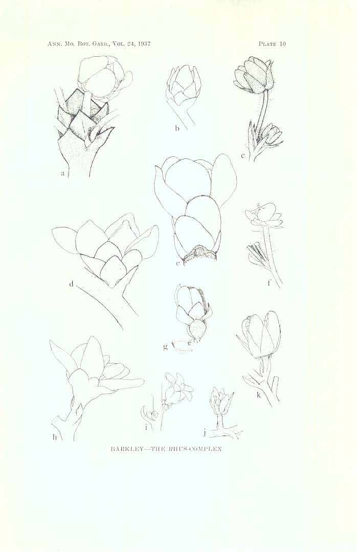 no HD illustration available (3)