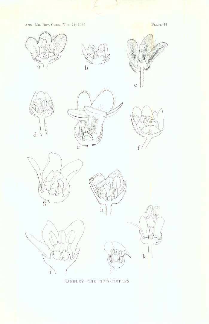 no HD illustration available (3)
