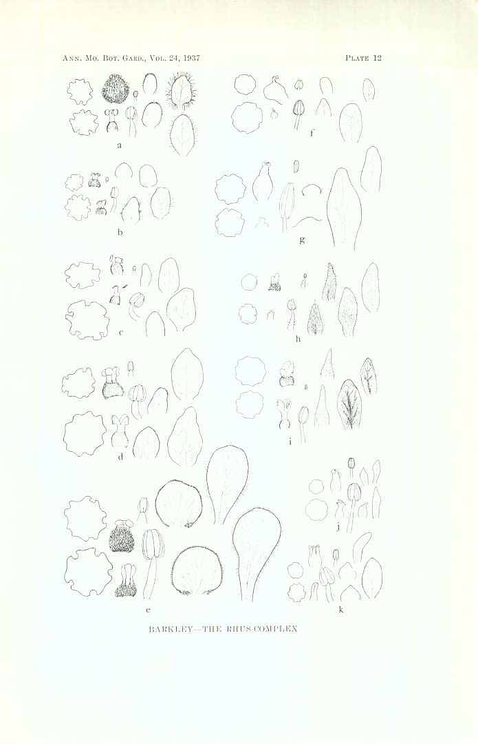 no HD illustration available (3)