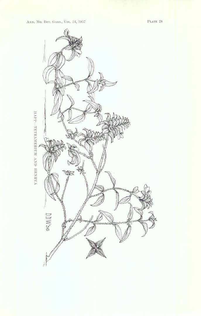 no HD illustration available (3)