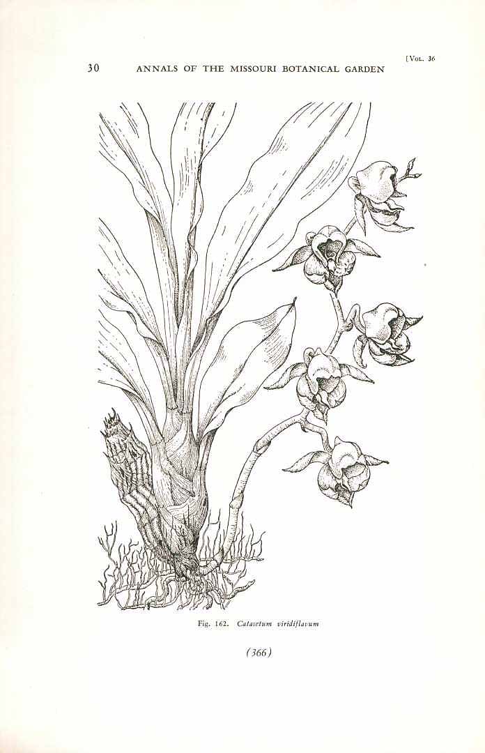 no HD illustration available (3)