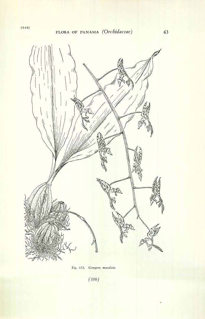 no HD illustration available (3)