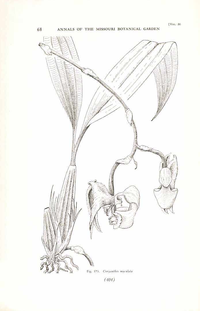 no HD illustration available (3)