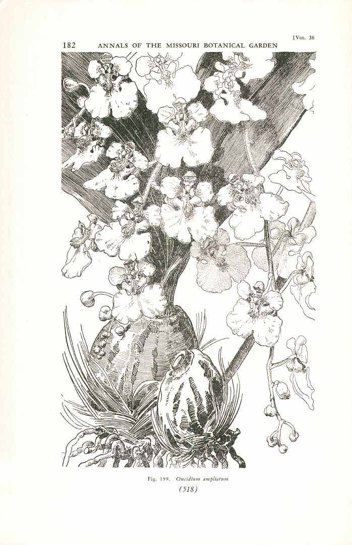 no HD illustration available (3)
