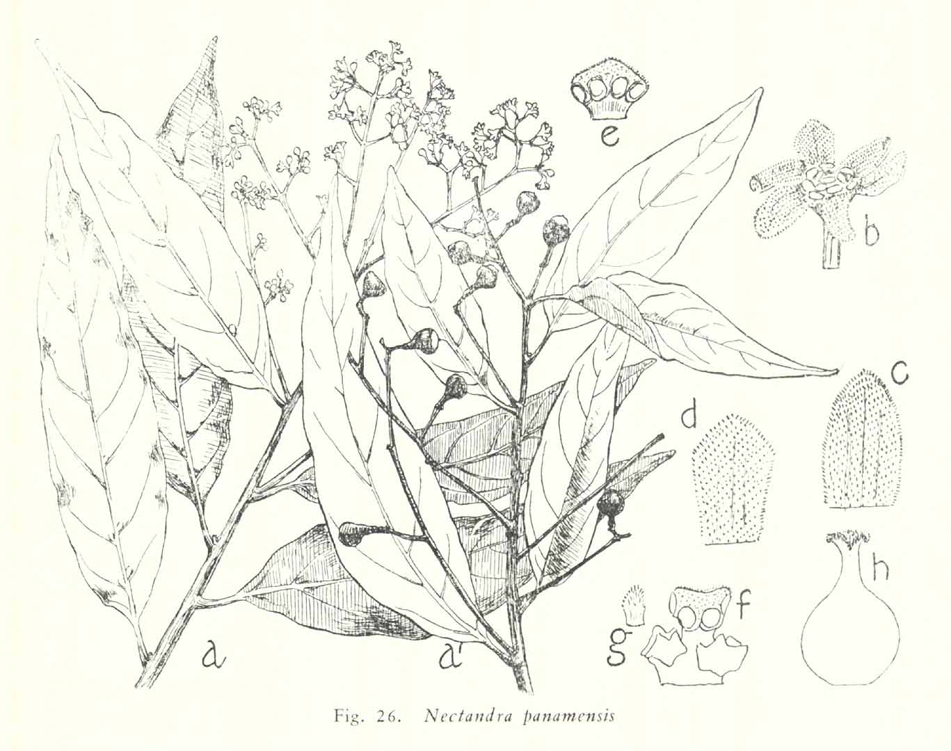 no HD illustration available (3)