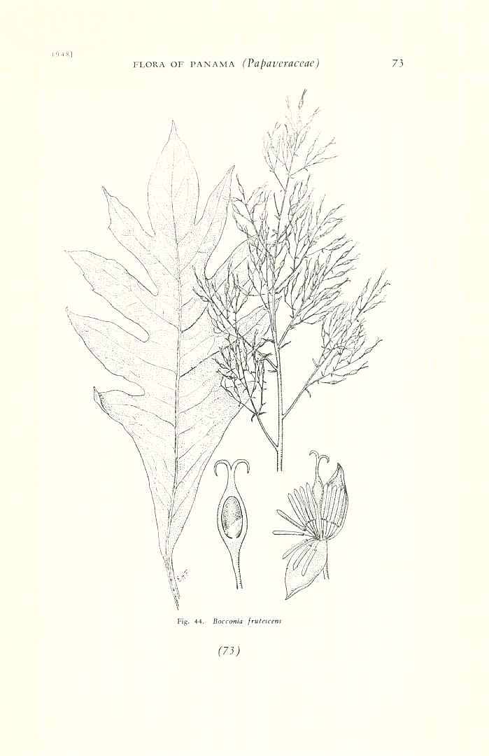 no HD illustration available (3)
