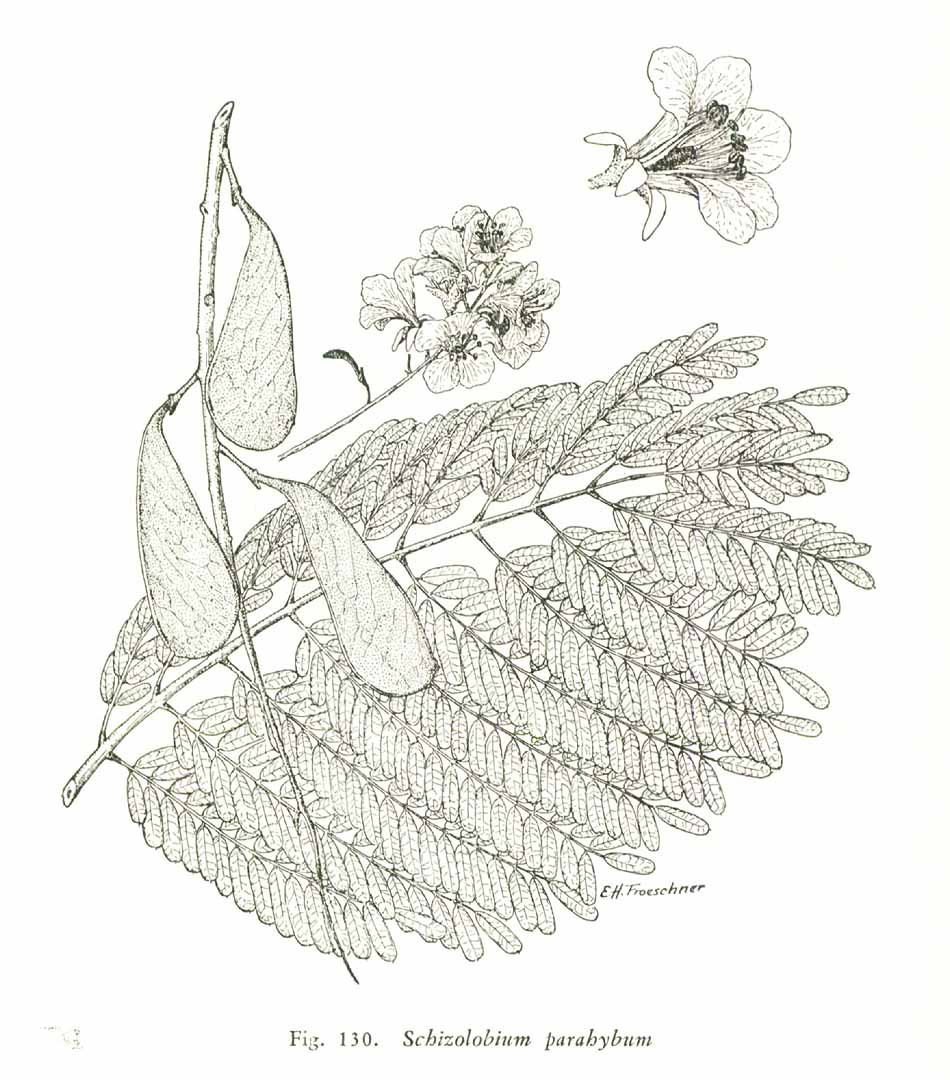 no HD illustration available (3)