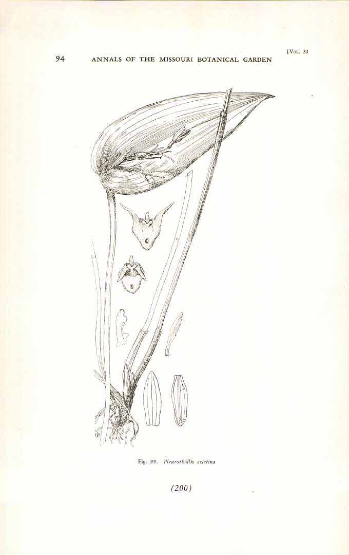 no HD illustration available (3)