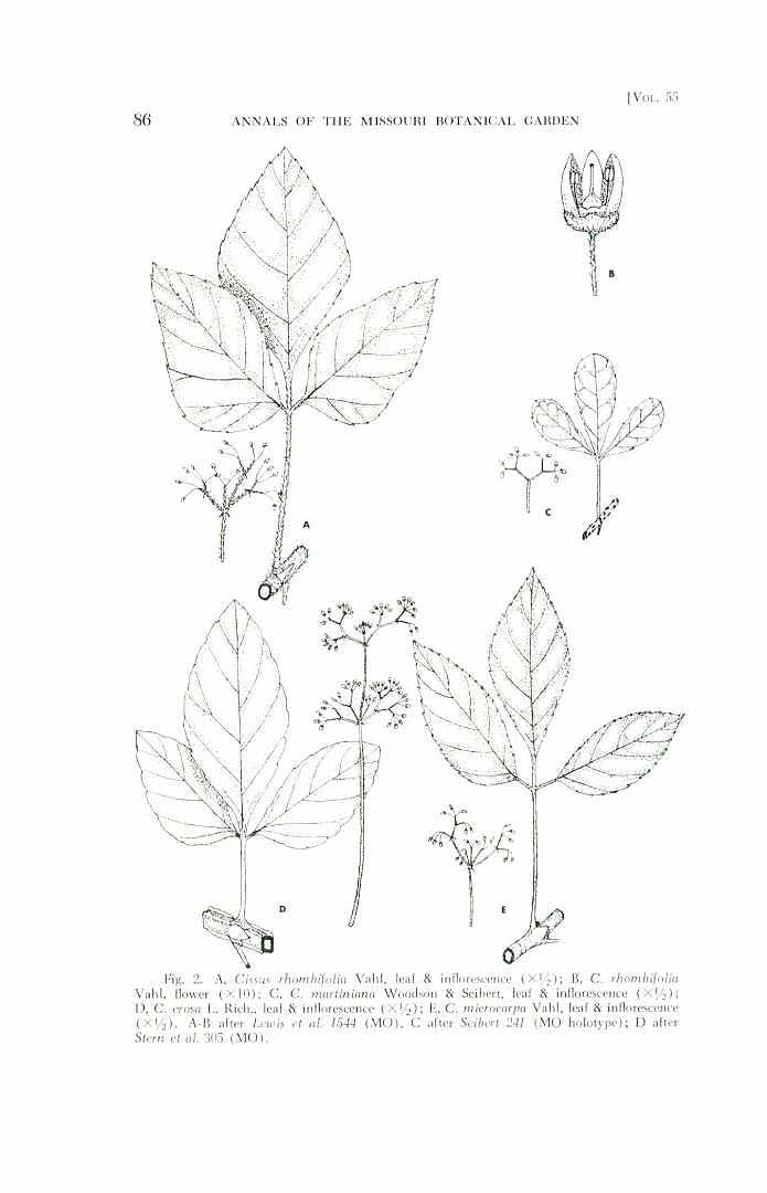no HD illustration available (3)