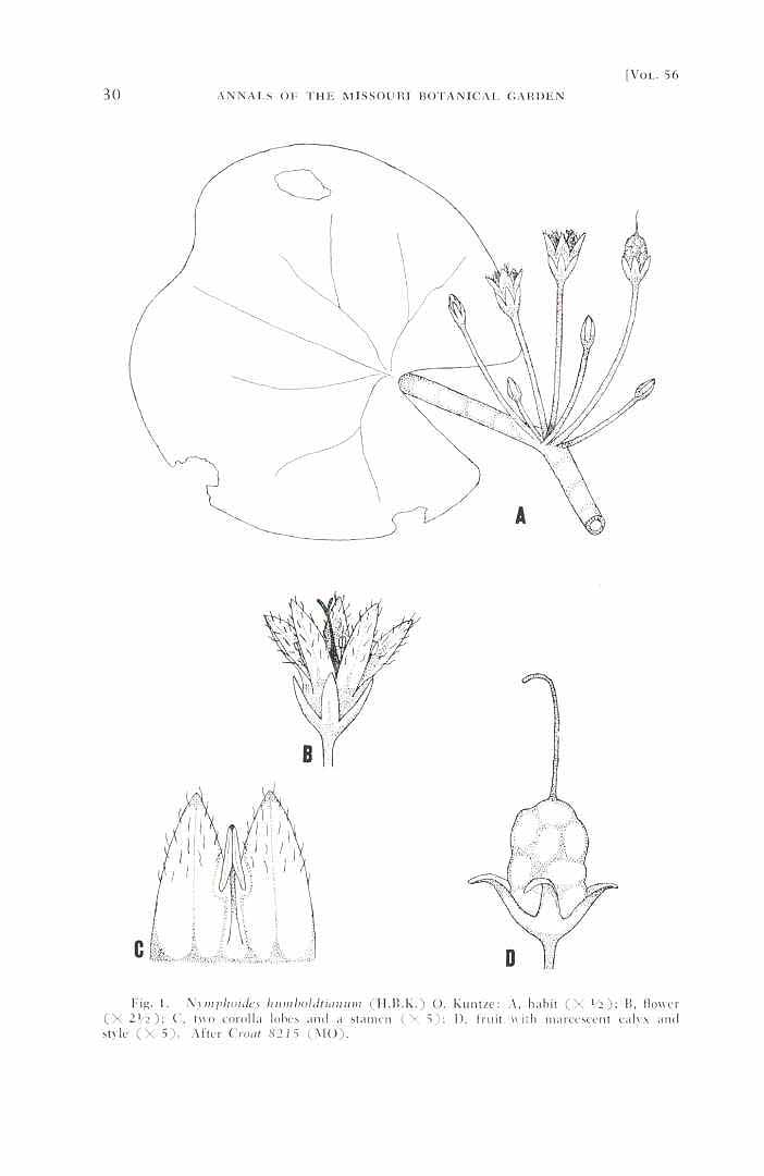no HD illustration available (3)