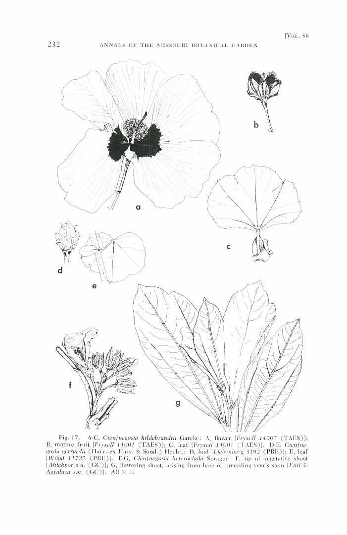 no HD illustration available (3)