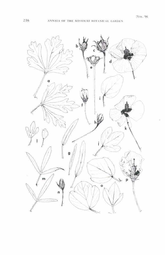 no HD illustration available (3)