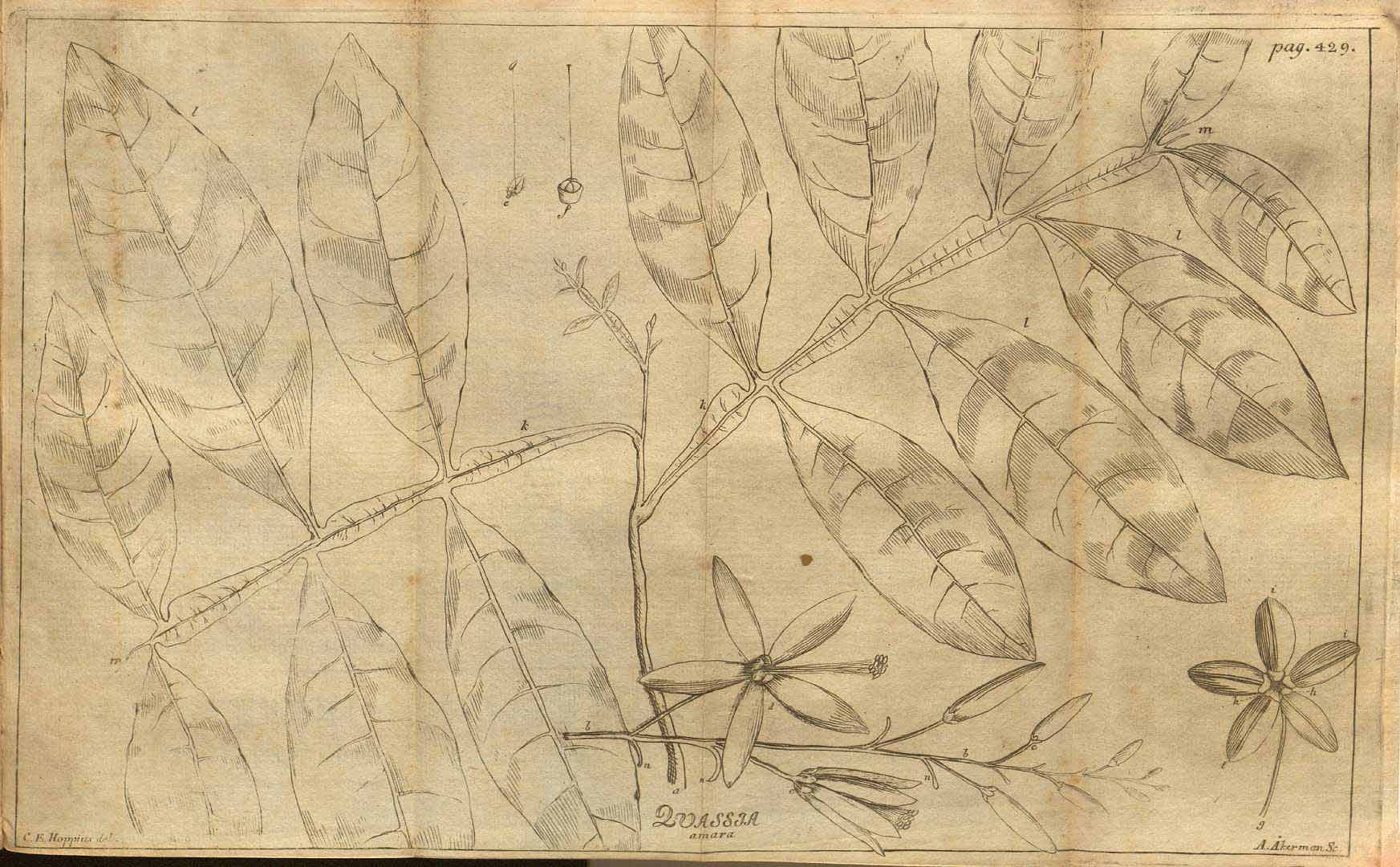 no HD illustration available (3)