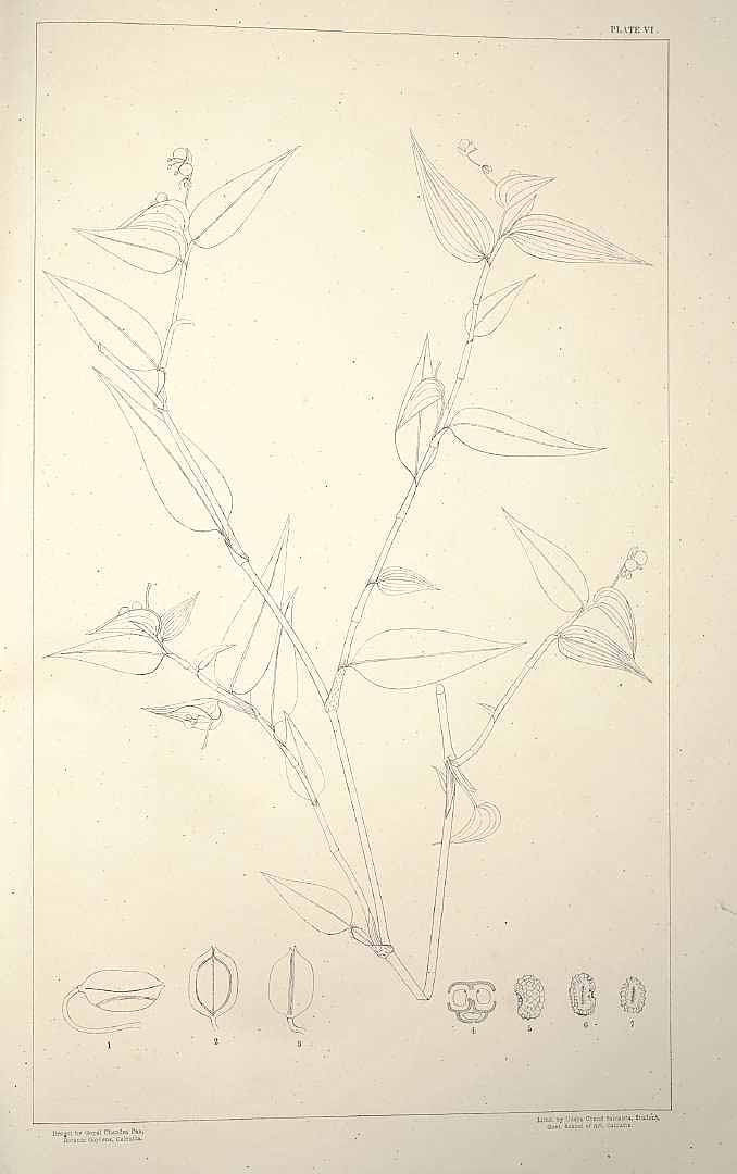 no HD illustration available (m1)
