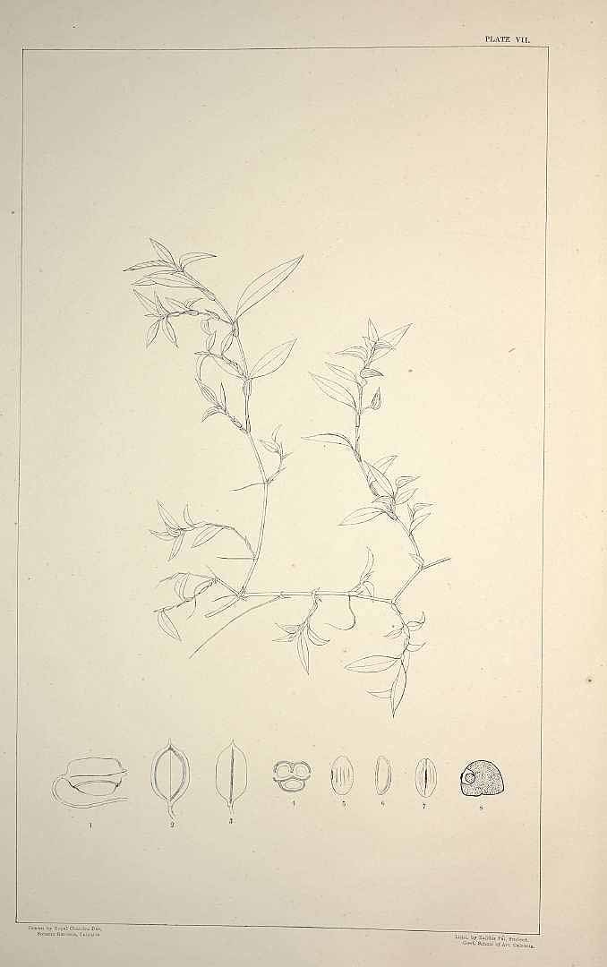 no HD illustration available (m1)