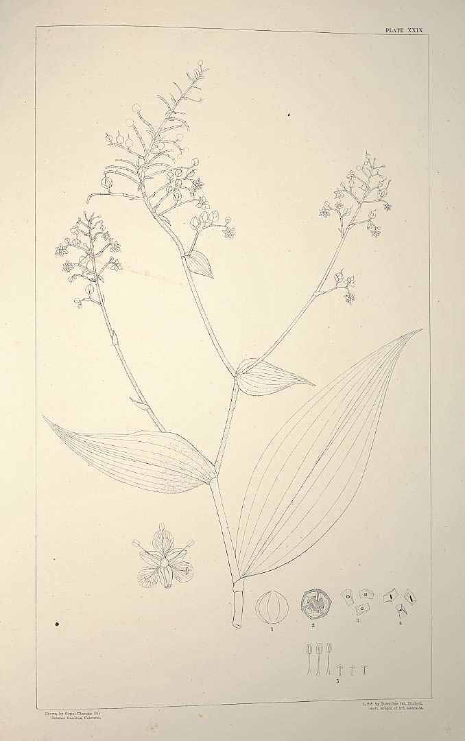 no HD illustration available (3)