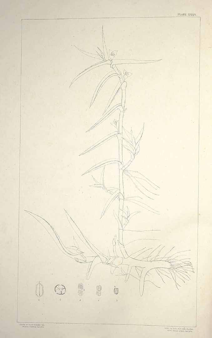 no HD illustration available (3)