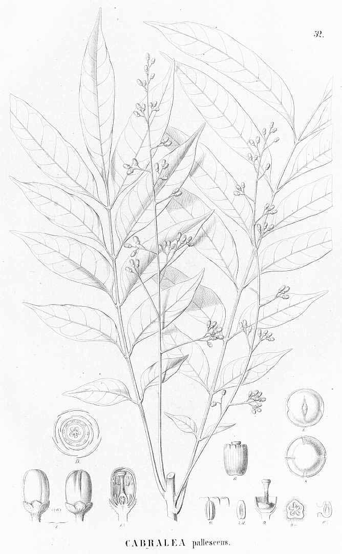 no HD illustration available (3)