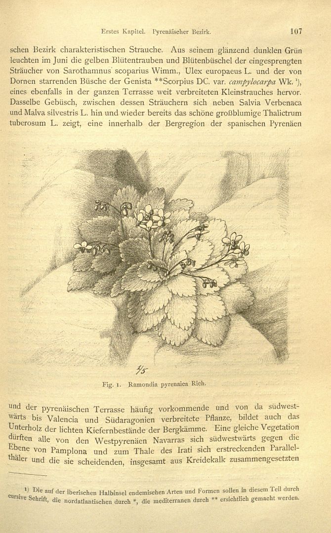 no HD illustration available (3)