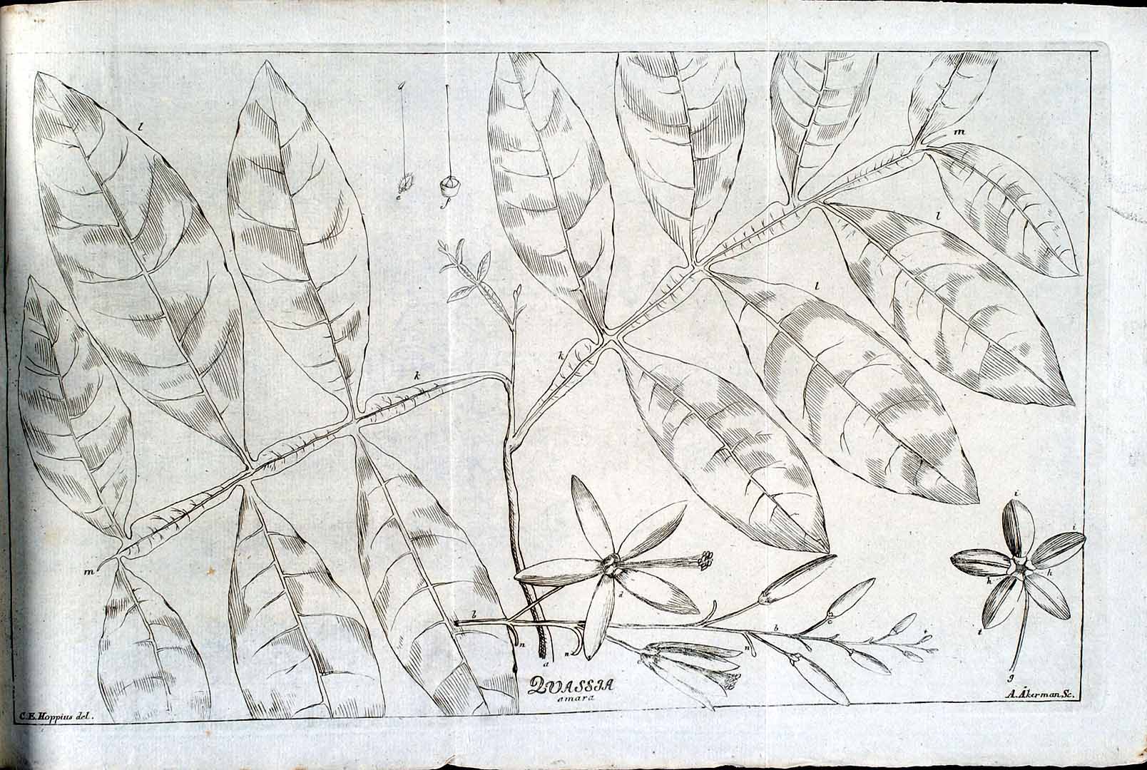 no HD illustration available (3)