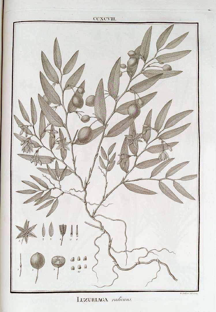 no HD illustration available (3)