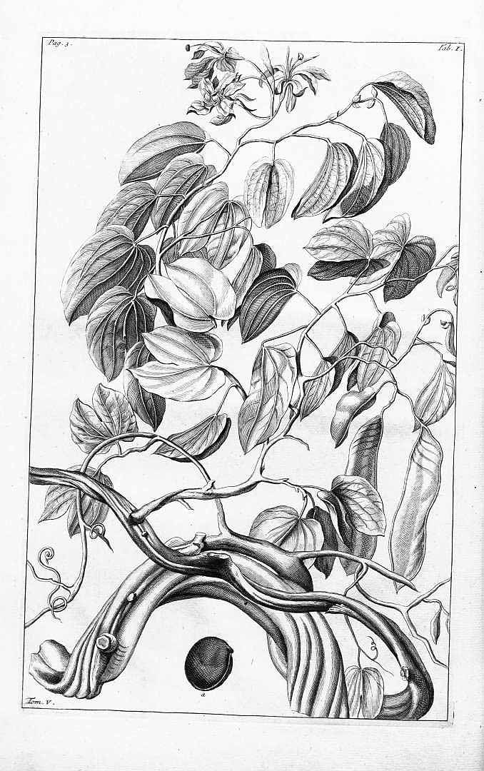 no HD illustration available (3)