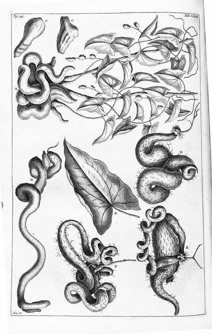 no HD illustration available (3)