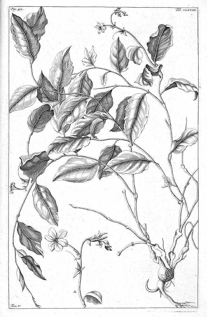 no HD illustration available (3)