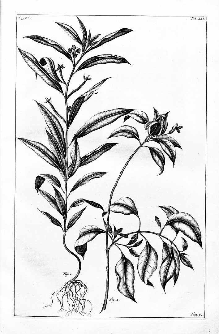 no HD illustration available (3)