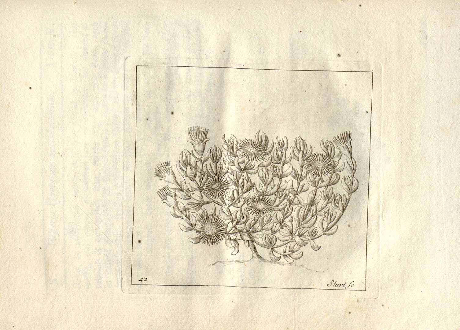 no HD illustration available (m2)