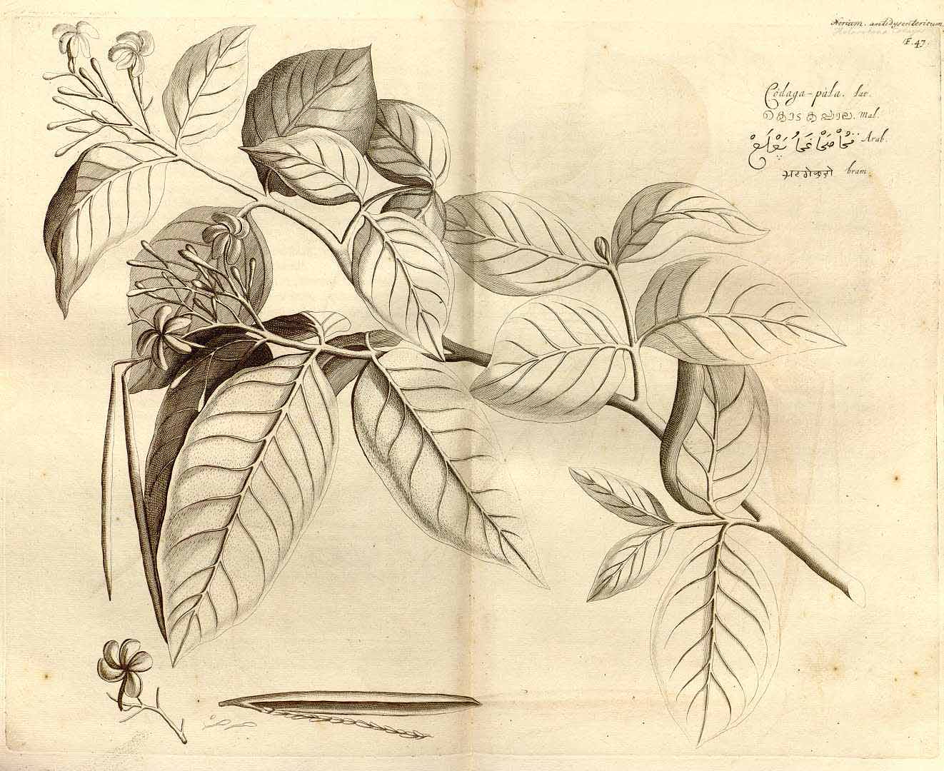 no HD illustration available (3)