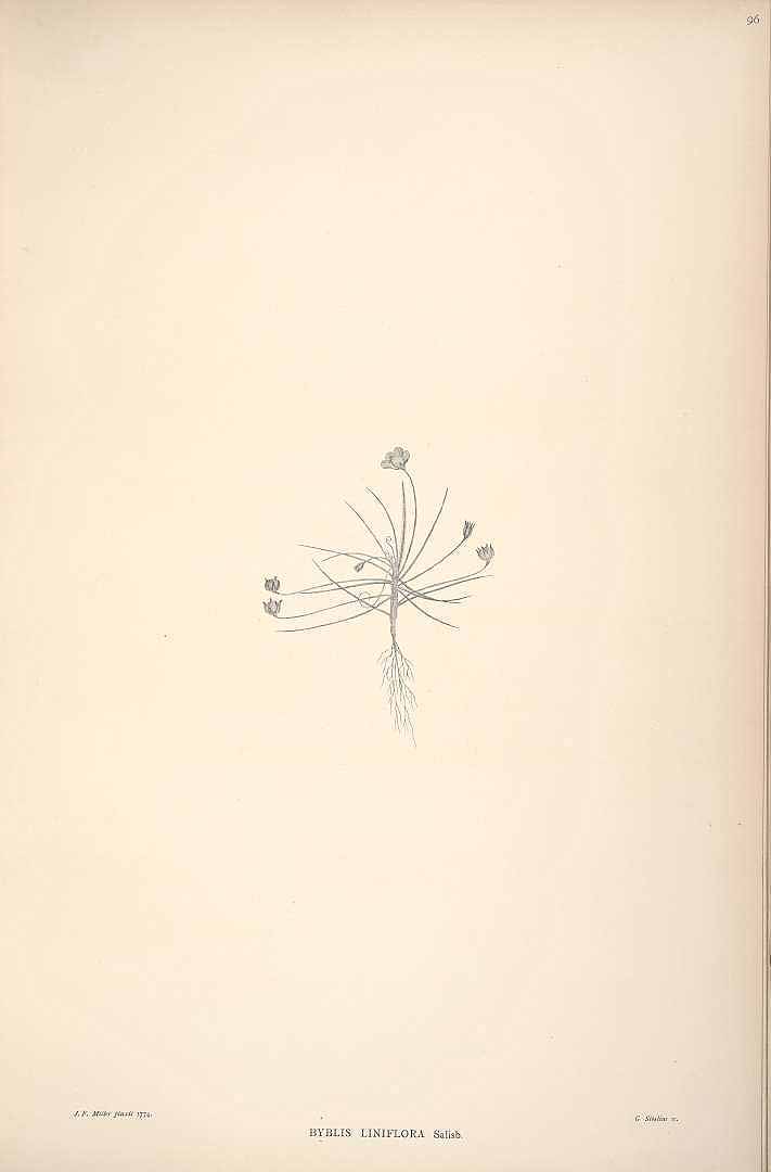 no HD illustration available (3)