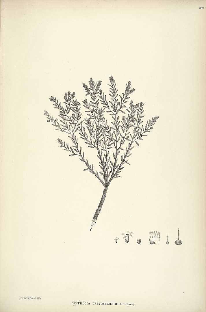 no HD illustration available (3)