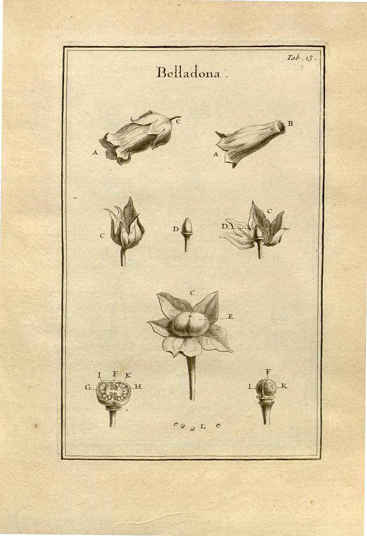 no HD illustration available (3)