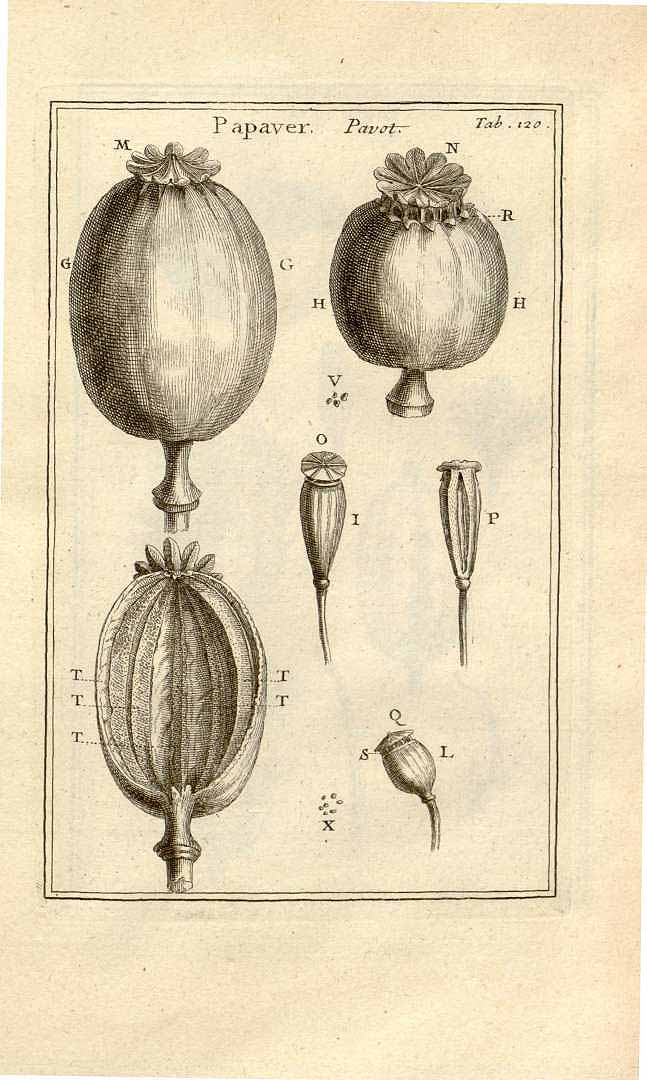no HD illustration available (m1)