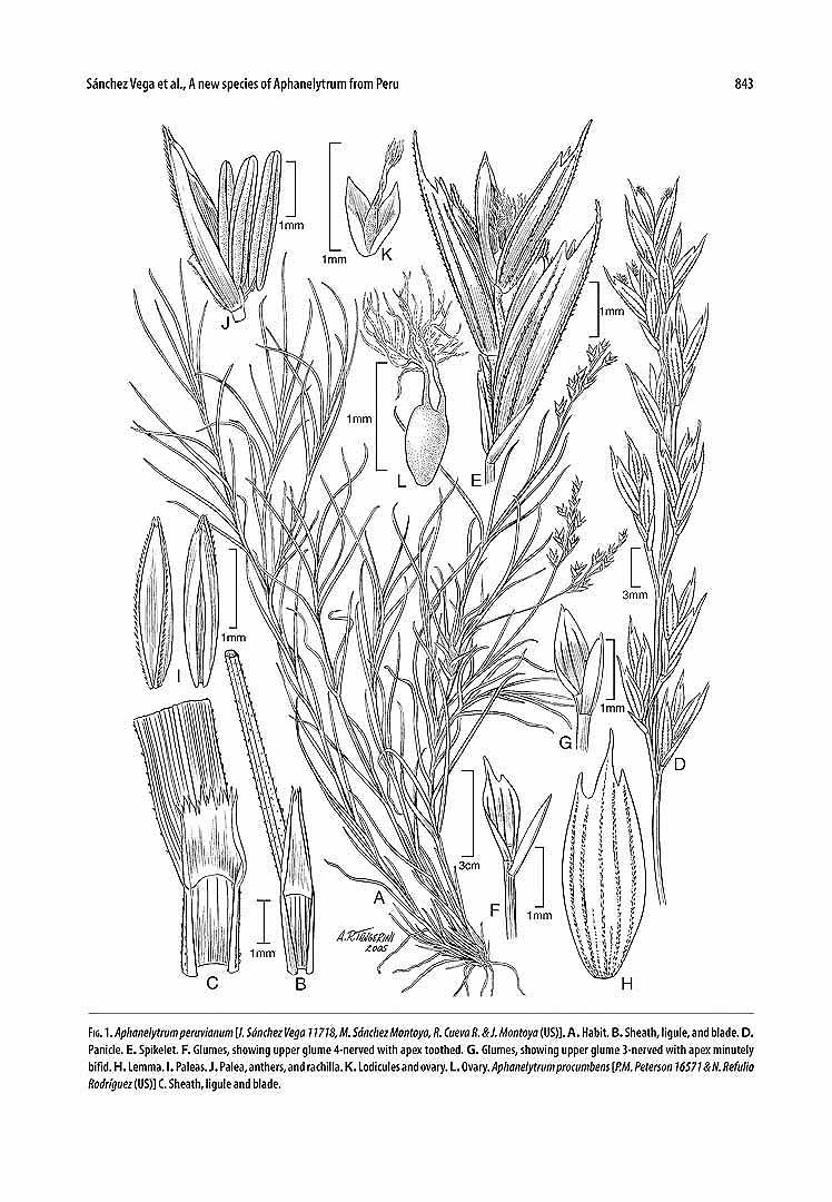 no HD illustration available (m1)