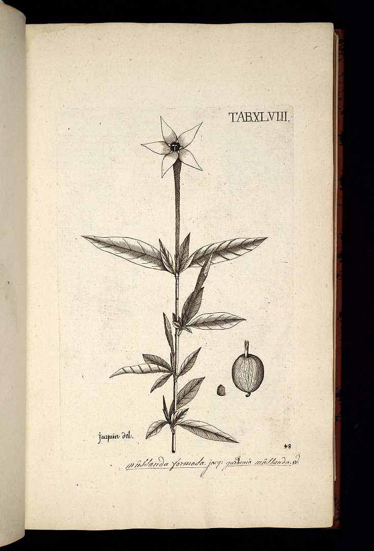 no HD illustration available (3)