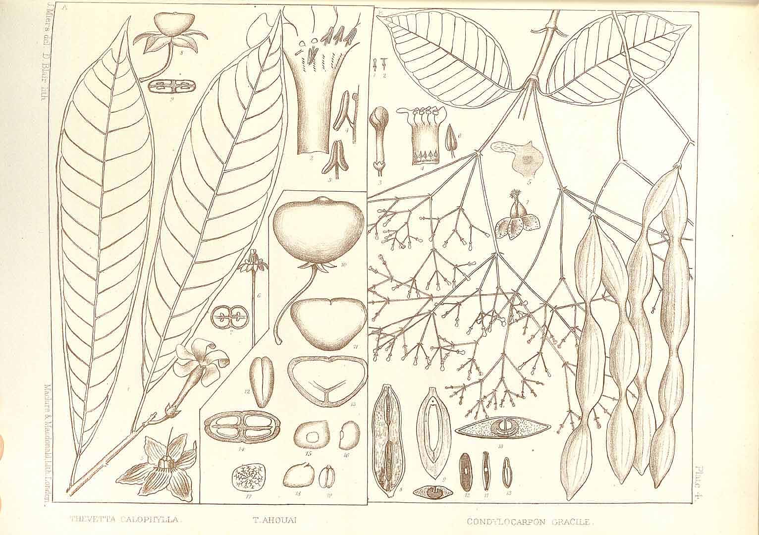 no HD illustration available (m2)