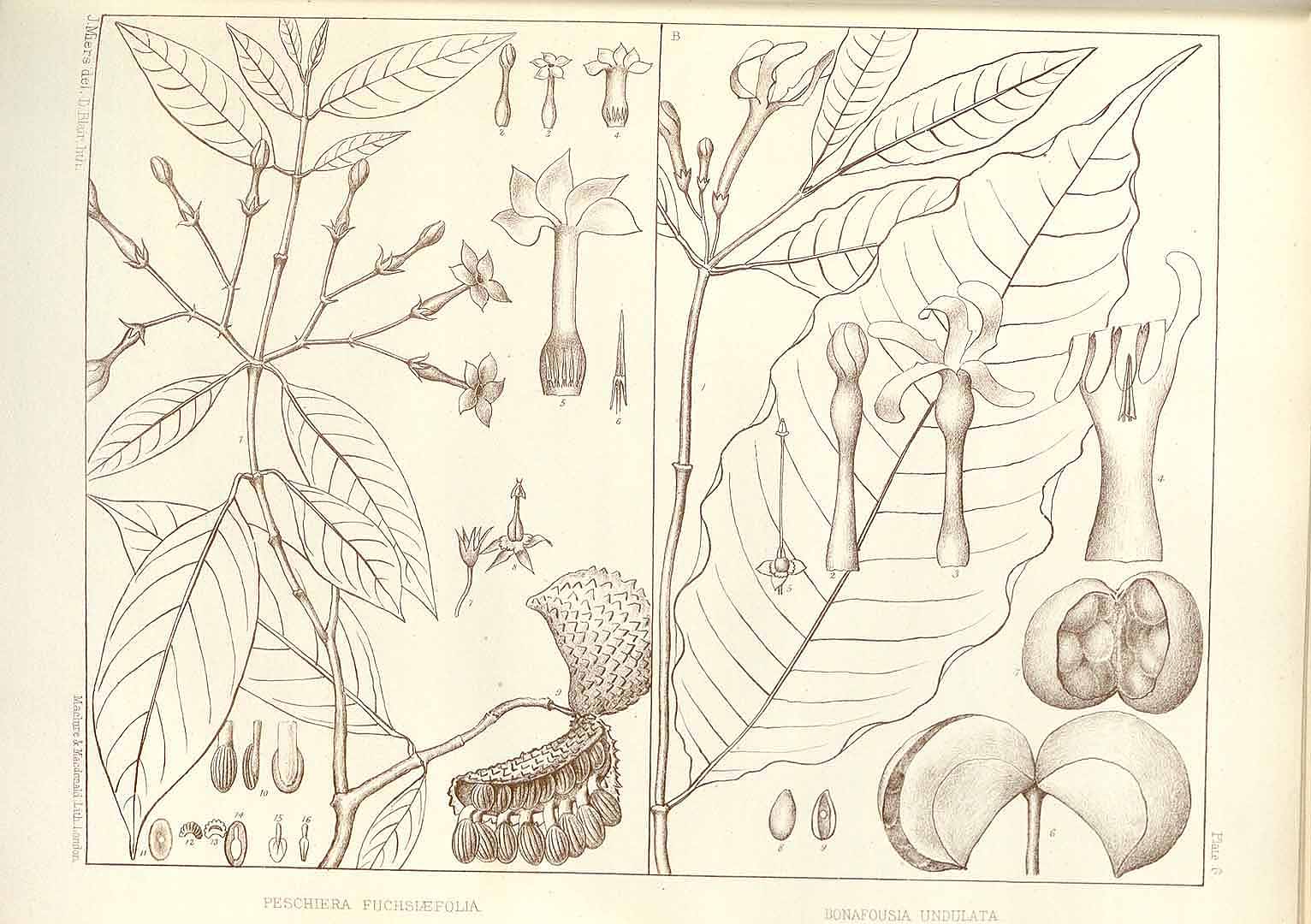 no HD illustration available (m2)