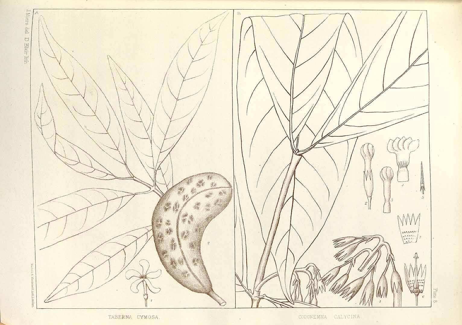 no HD illustration available (m2)