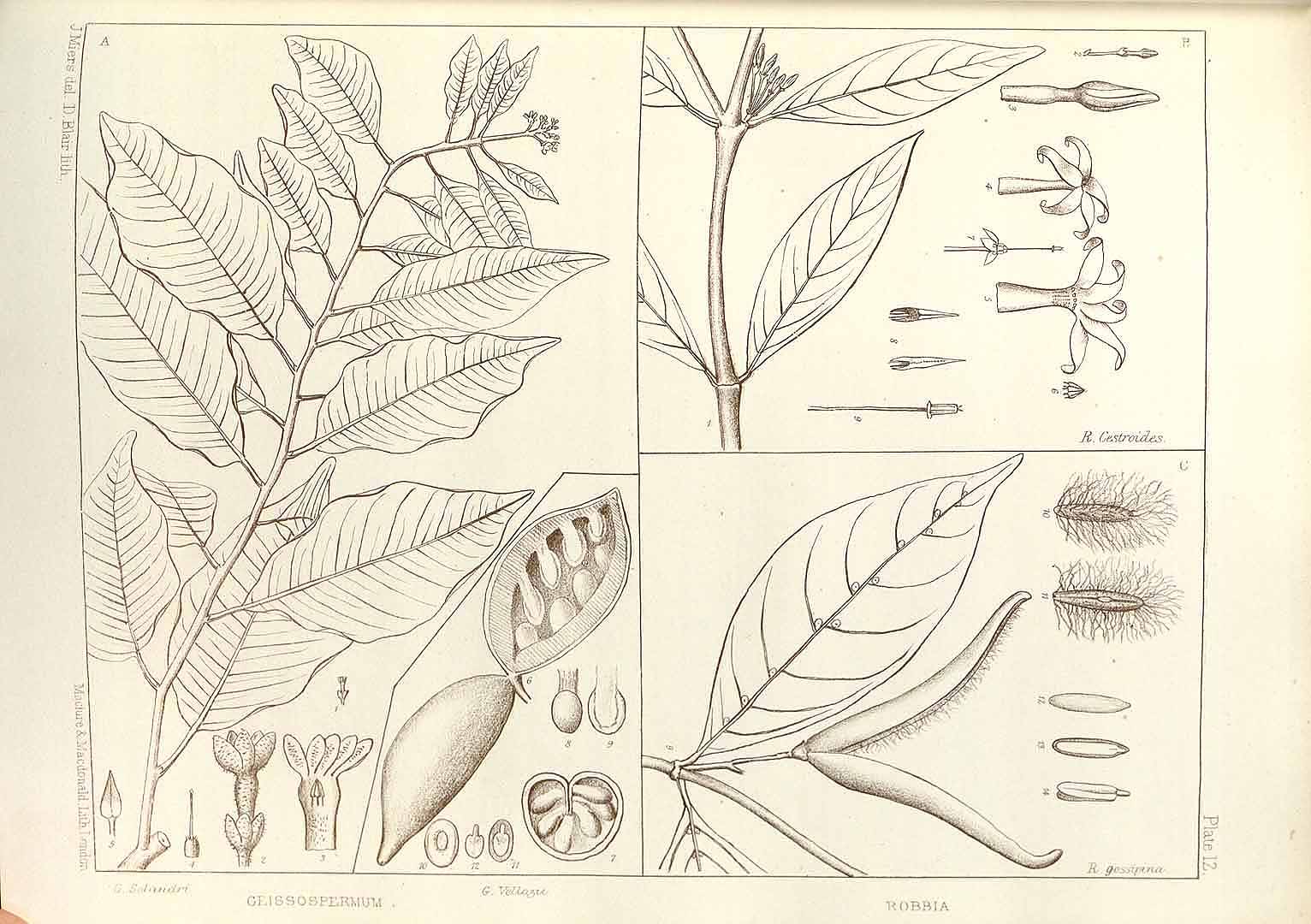 no HD illustration available (m2)