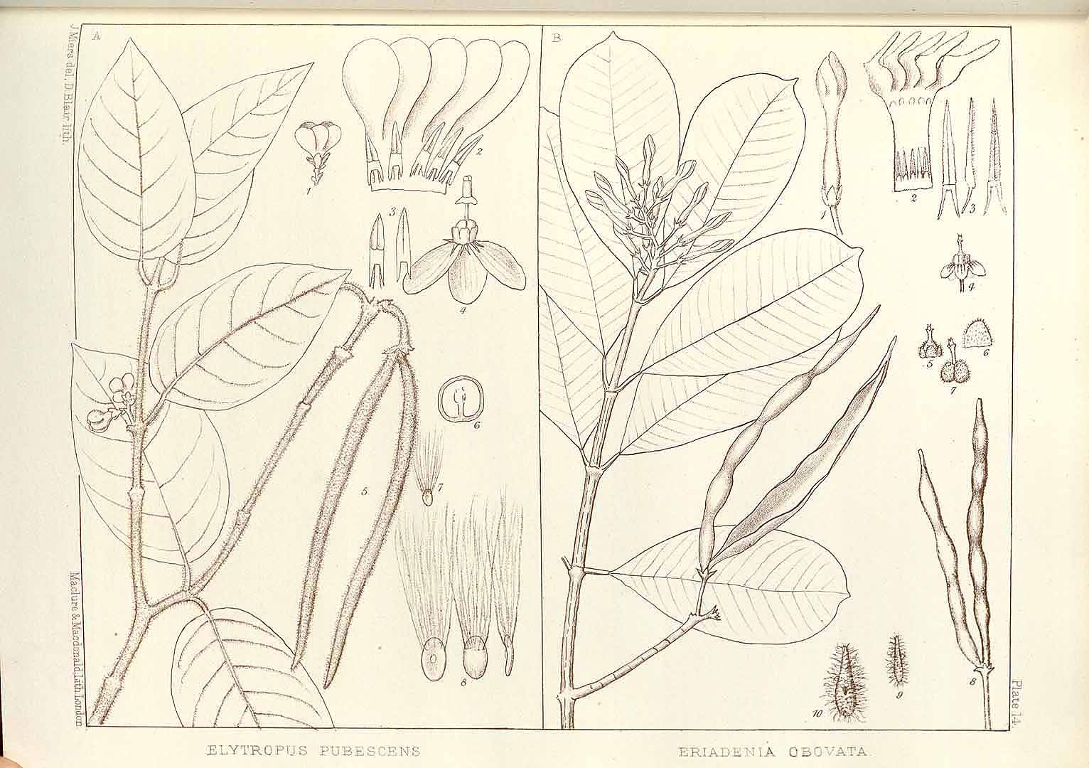 no HD illustration available (m2)