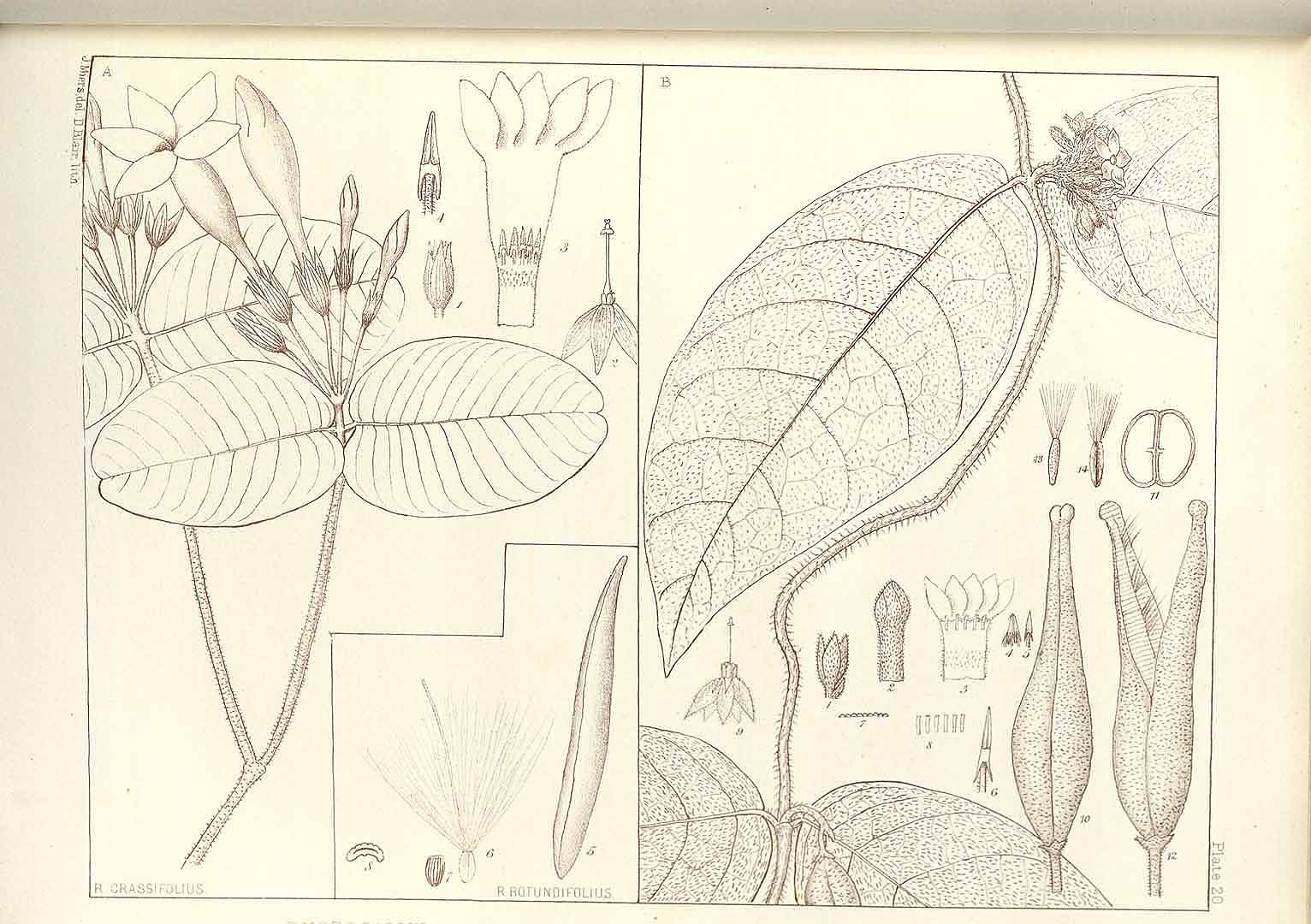 no HD illustration available (m2)