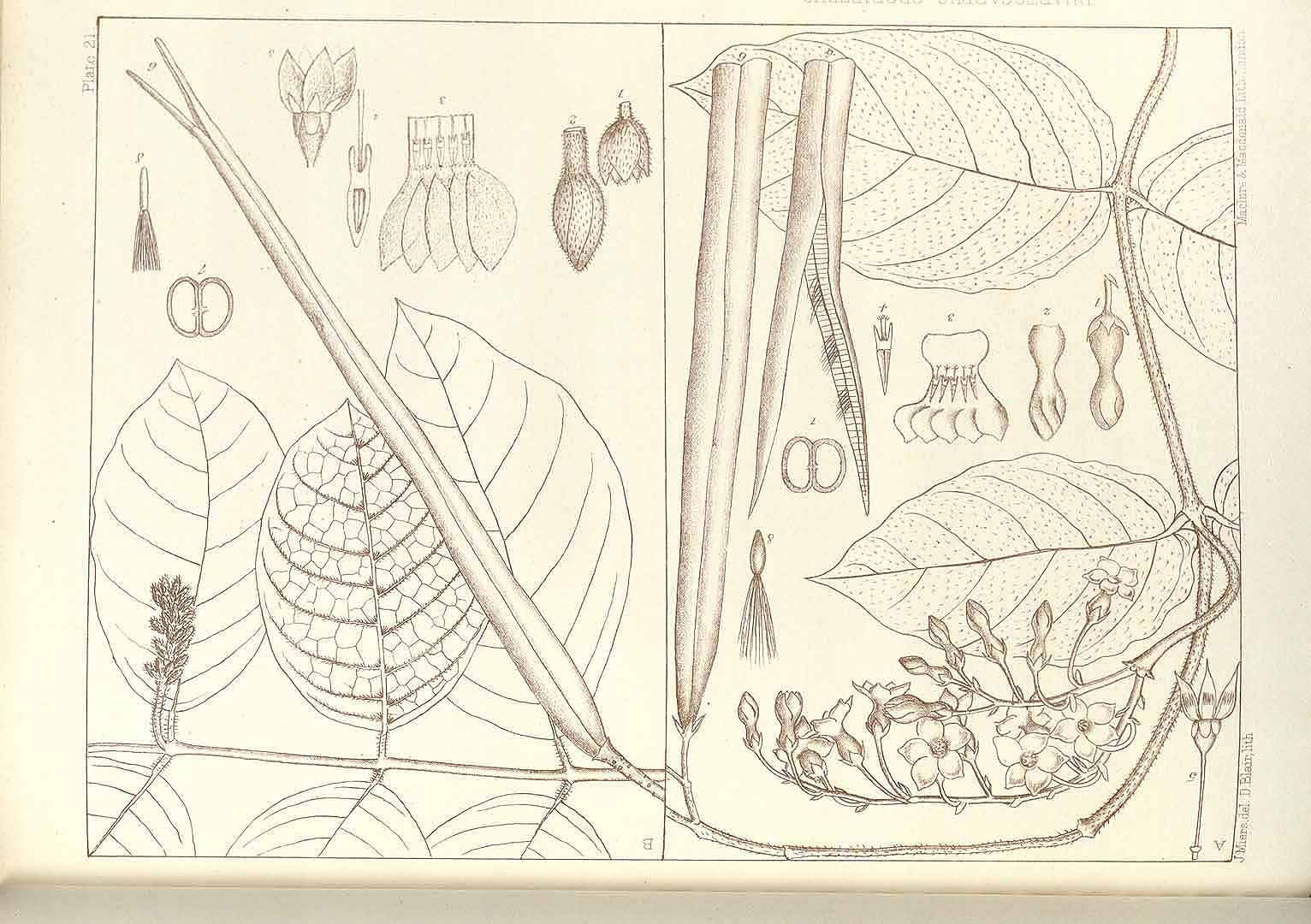 no HD illustration available (m2)