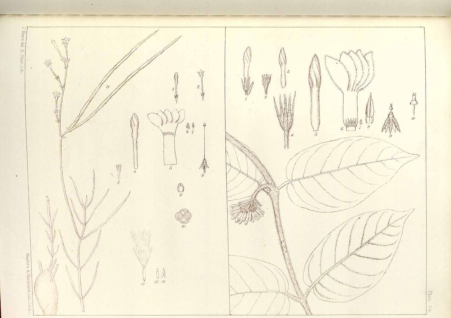 no HD illustration available (m2)