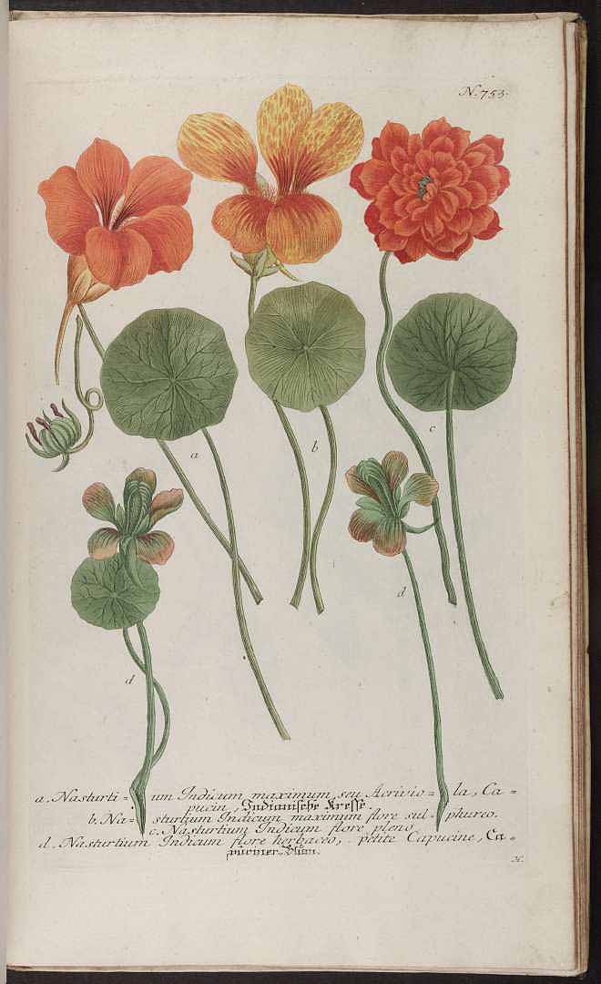 no HD illustration available (3)