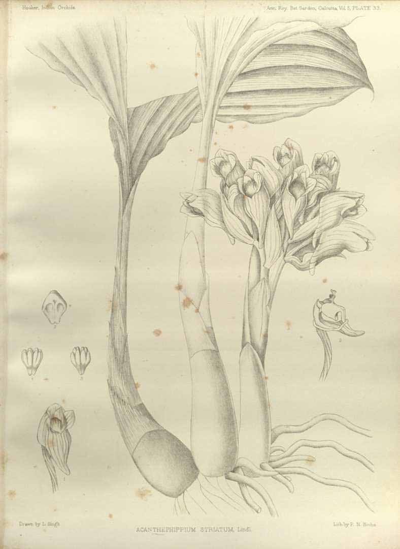 no HD illustration available (3)
