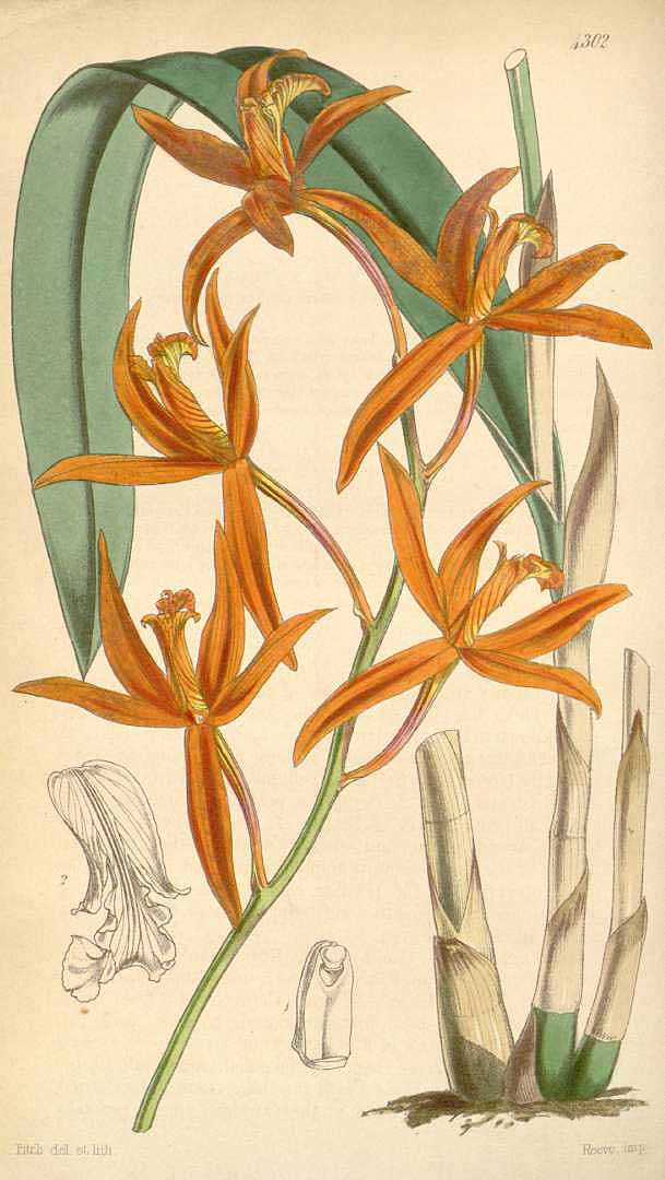 no HD illustration available (3)