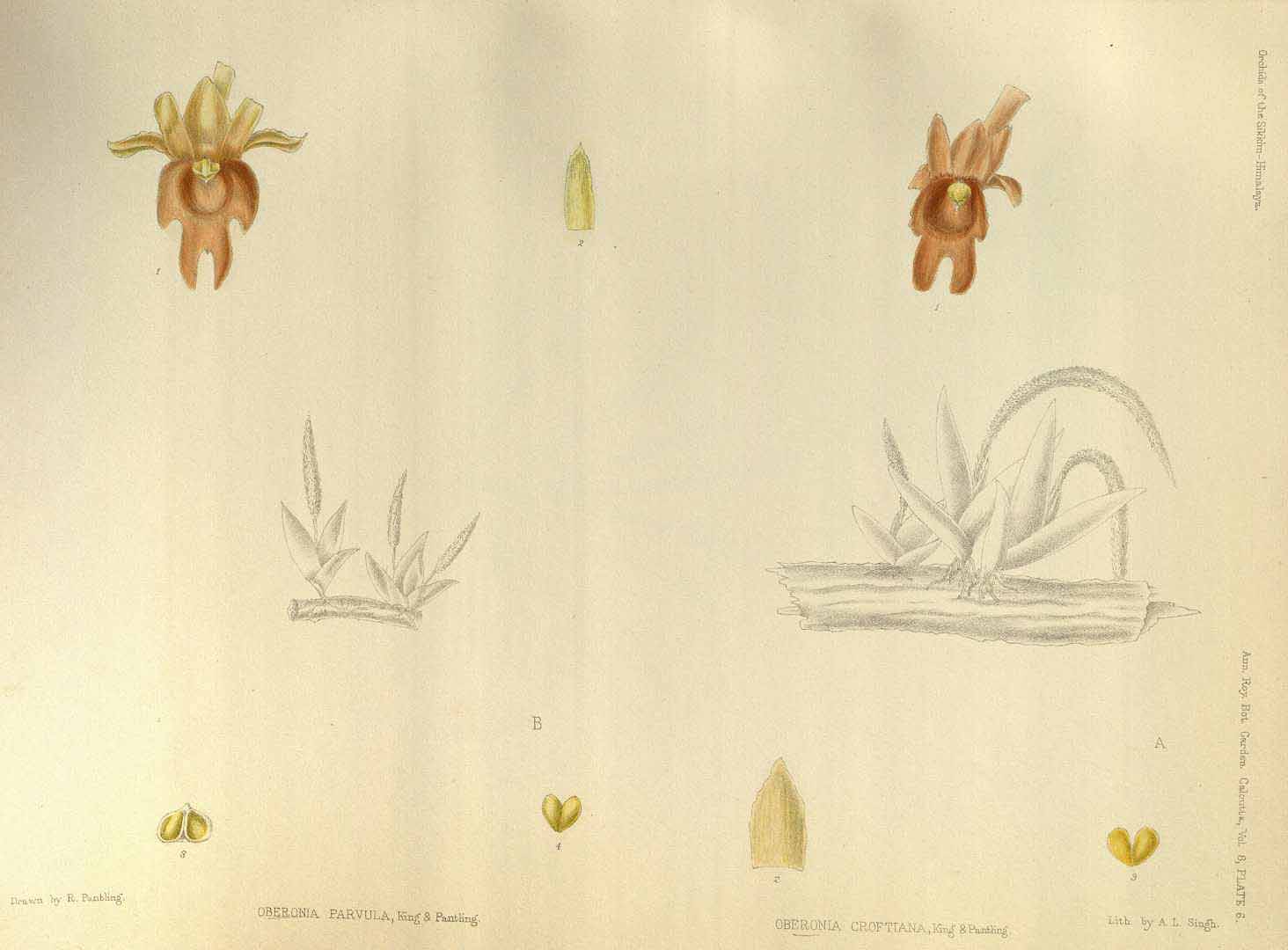 no HD illustration available (3)