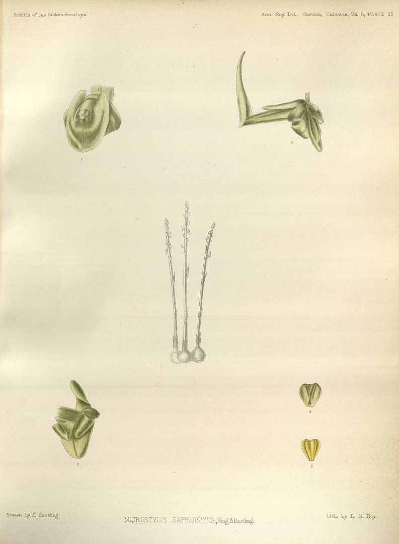 no HD illustration available (3)